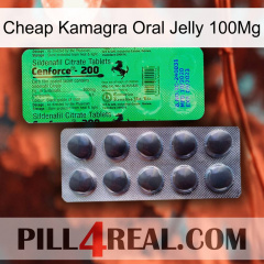 Cheap Kamagra Oral Jelly 100Mg new04